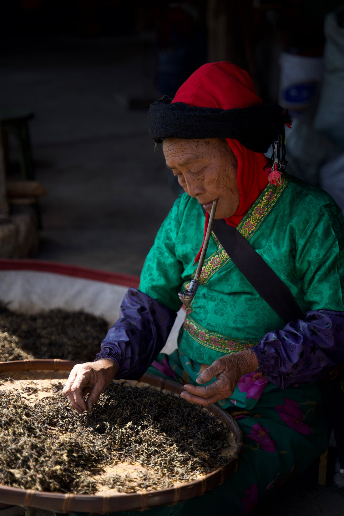Why Ancient Tree Tea Is So Highly Valued