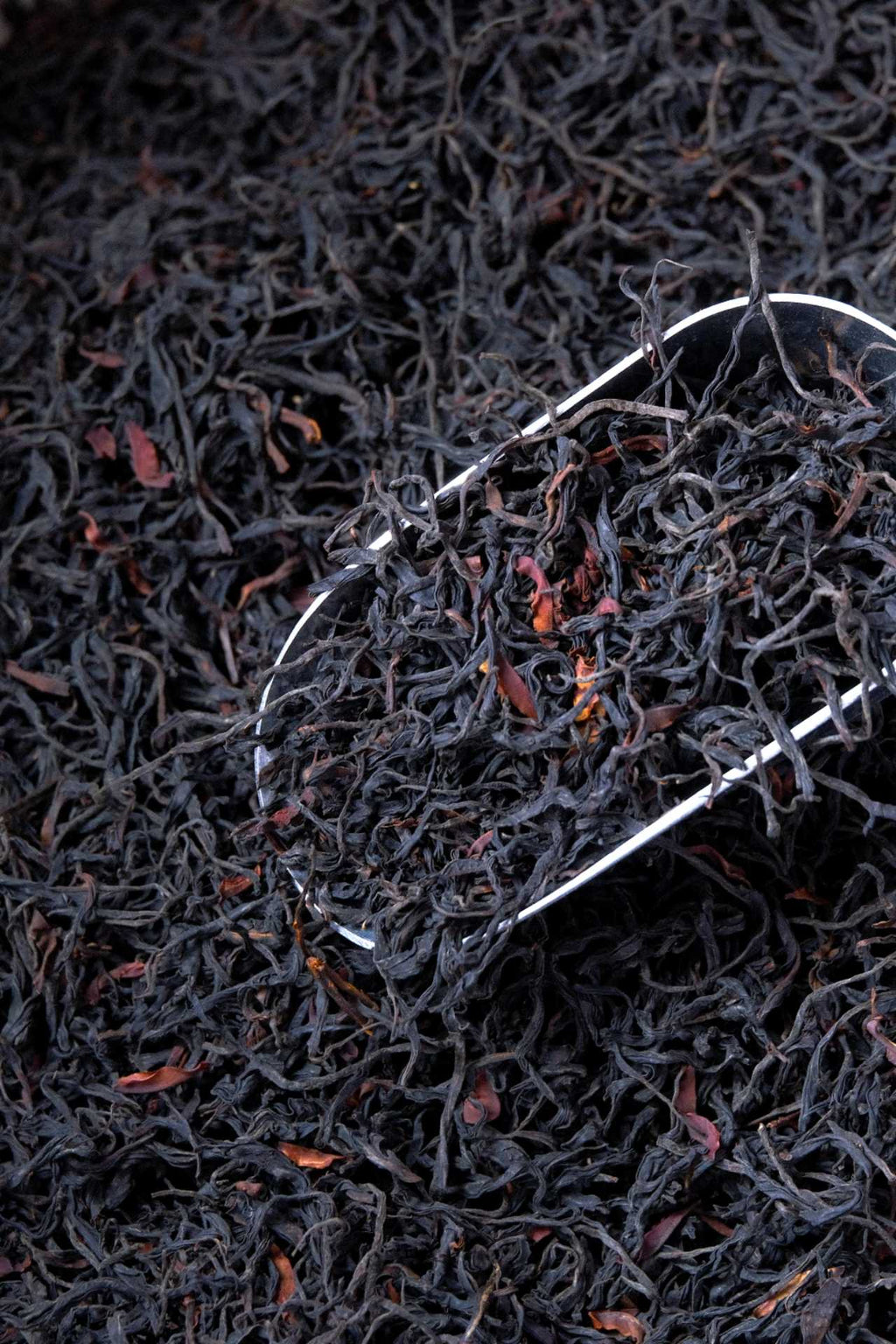 Ancient Tree Wild Black Tea