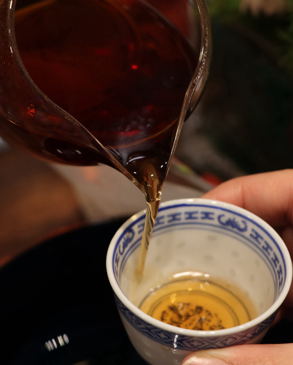 Ancient Tree Black Tea