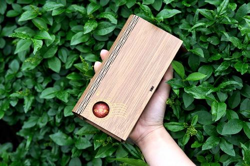 2015 Aged Xiao Qing Gan Pu’er Tea